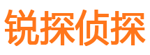 齐齐哈尔市私家侦探